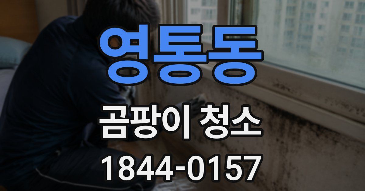 영통동 곰팡이 청소