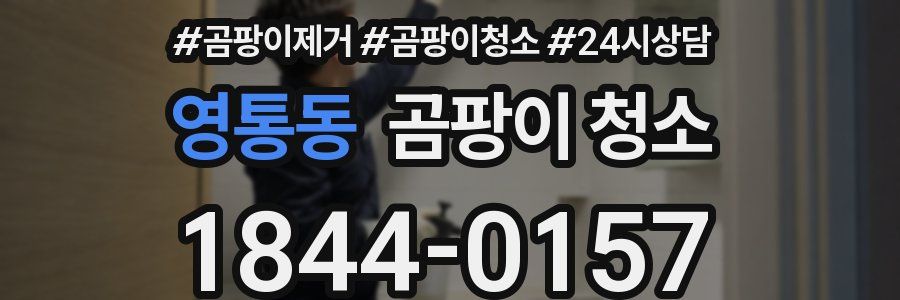 영통동 곰팡이 청소