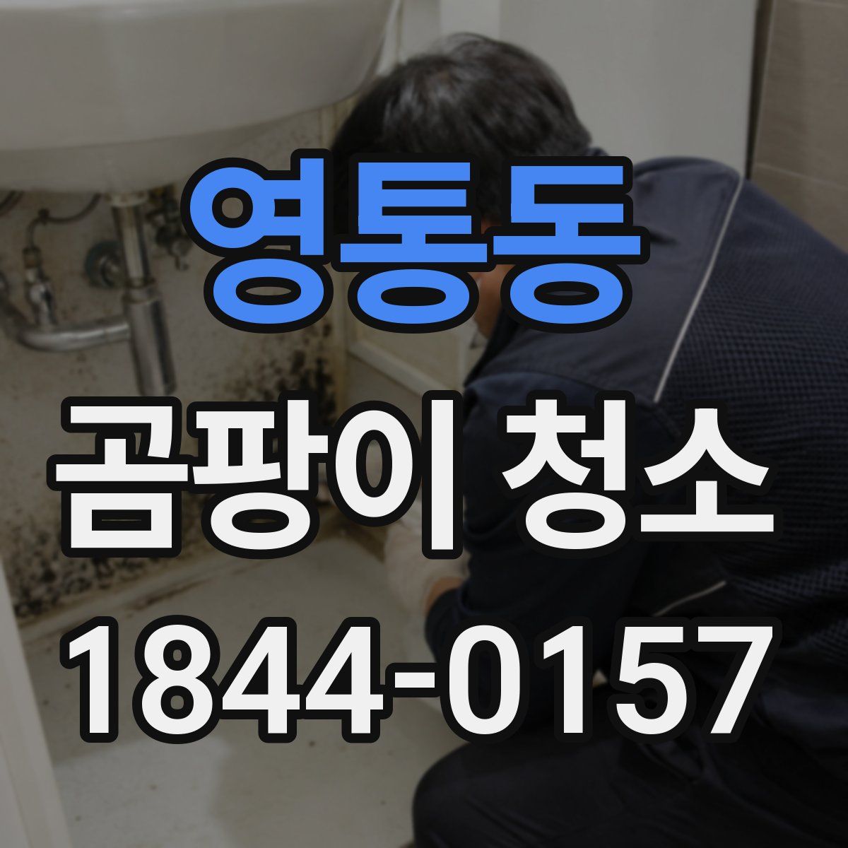 영통동 곰팡이 청소