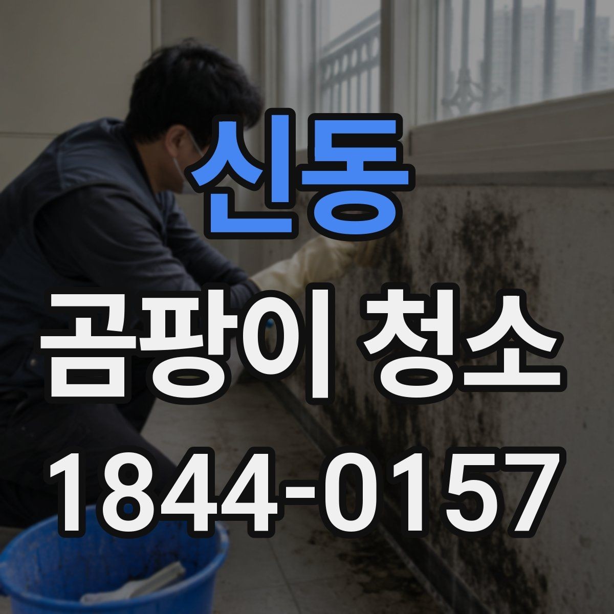 신동 곰팡이 청소 포자 확산을 막는 작업 동선과 환기 타이밍