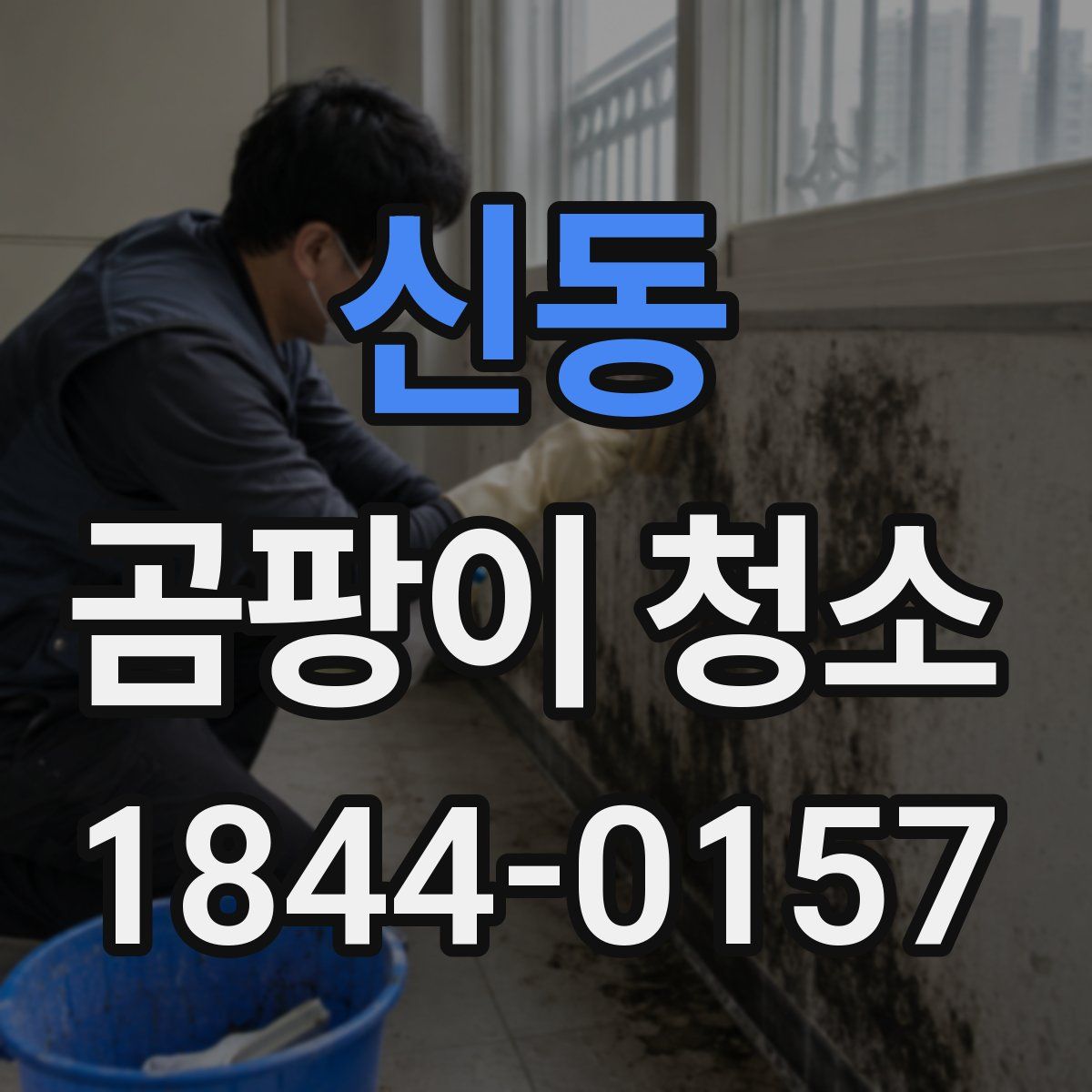 신동 곰팡이 청소