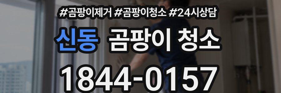 신동 곰팡이 청소