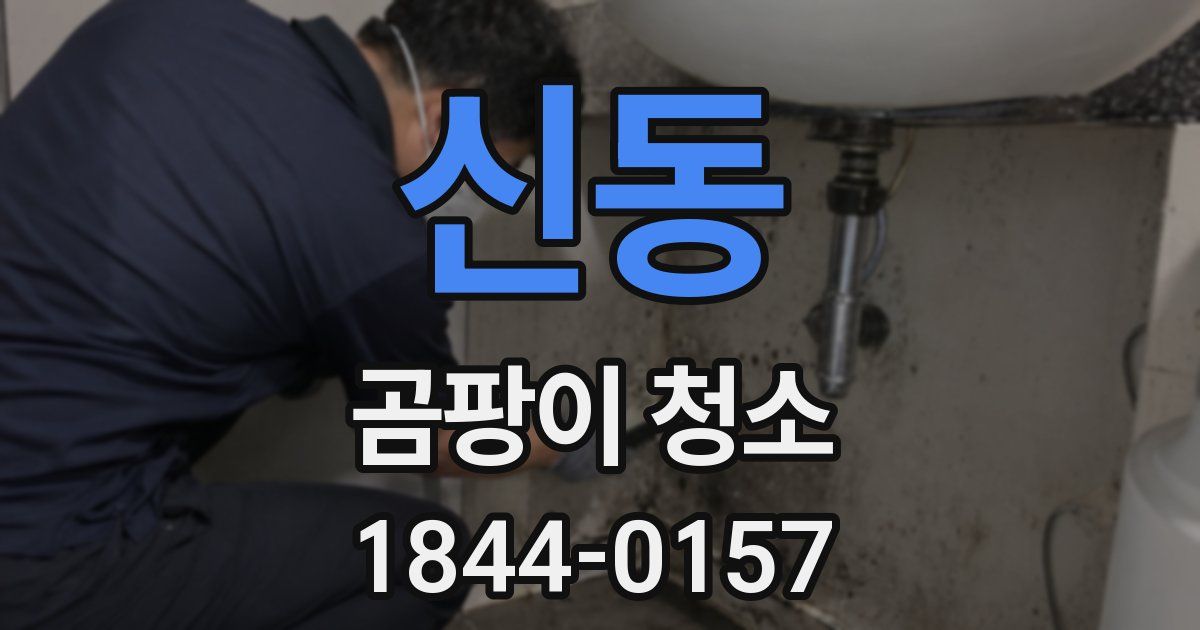 신동 곰팡이 청소