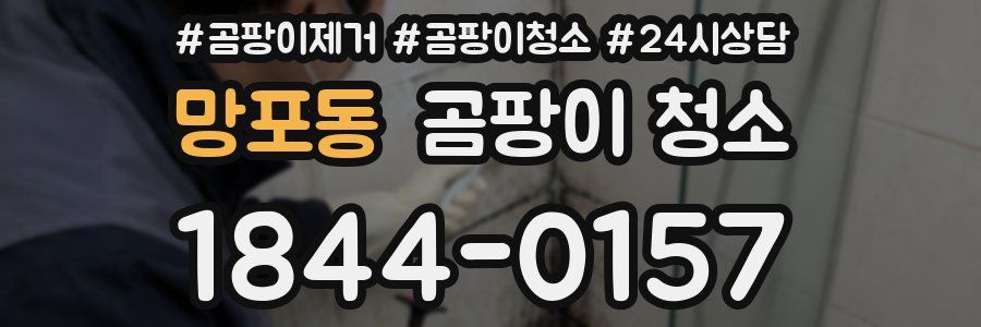 망포동 곰팡이 청소