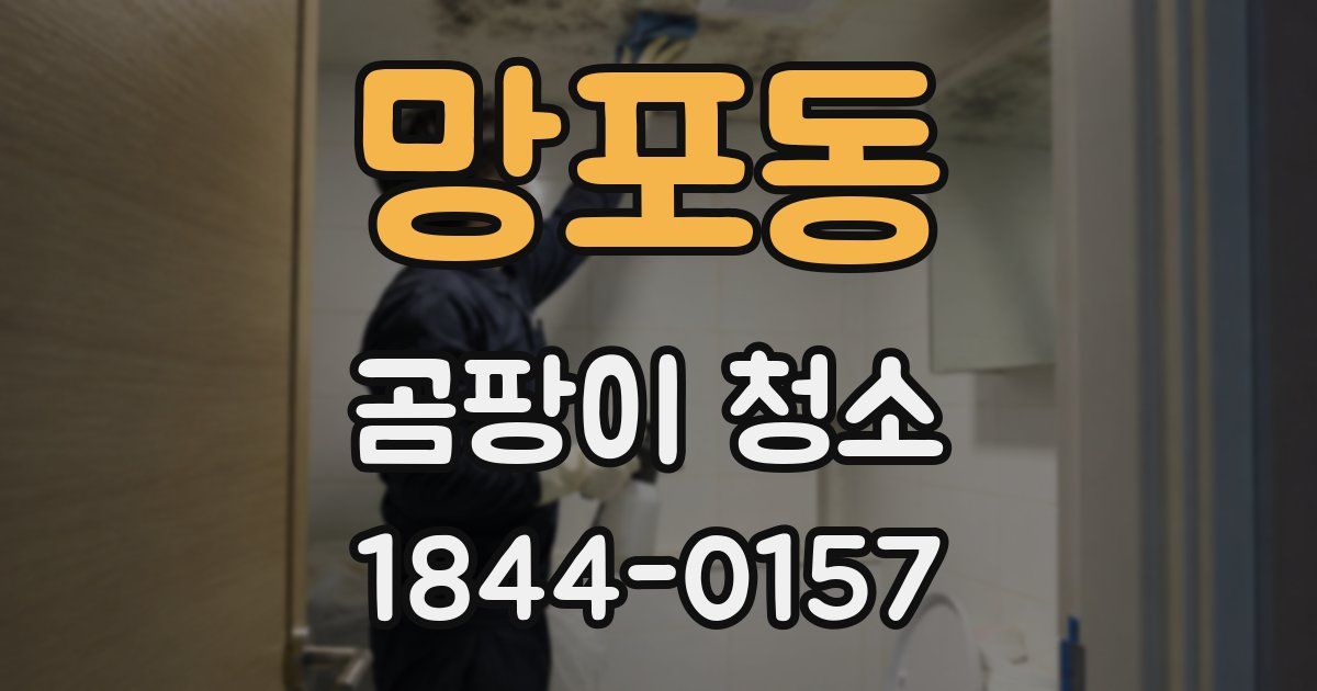 망포동 곰팡이 청소