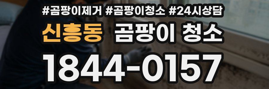 신흥동 곰팡이 청소