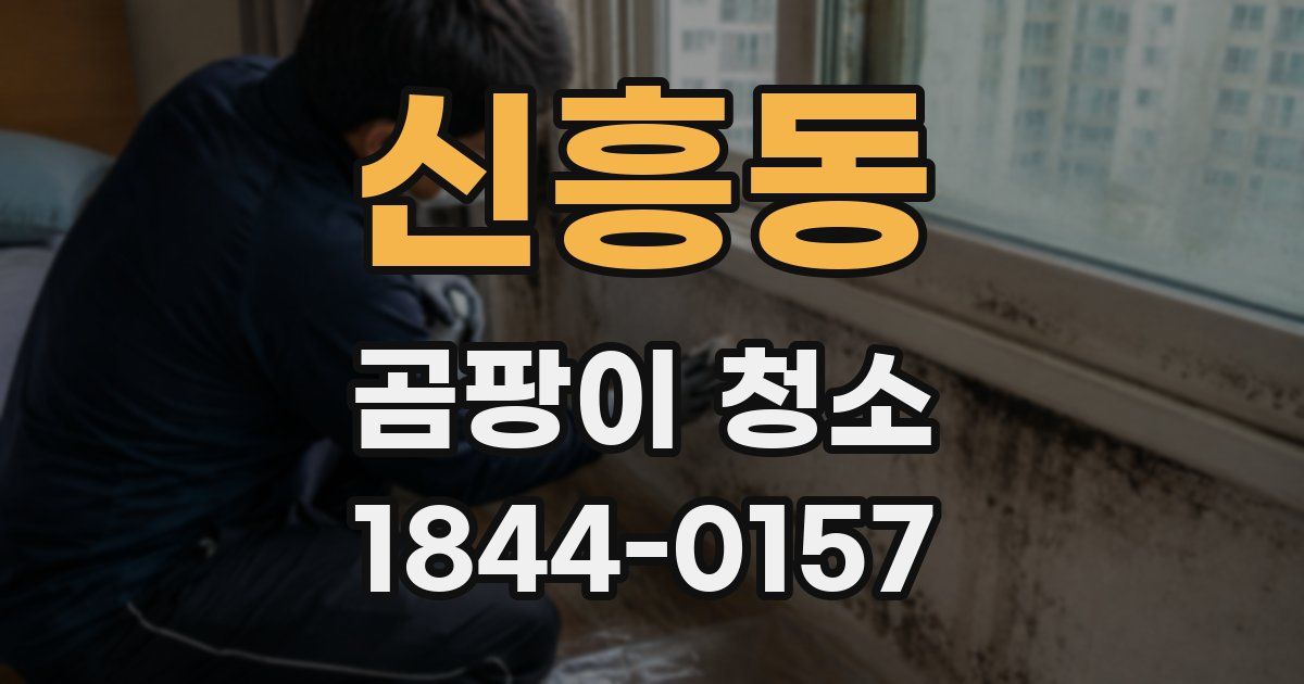 신흥동 곰팡이 청소