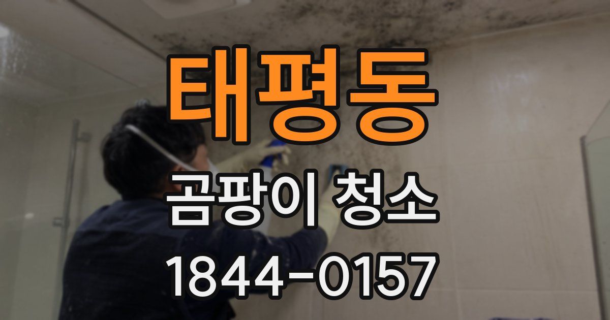 태평동 곰팡이 청소