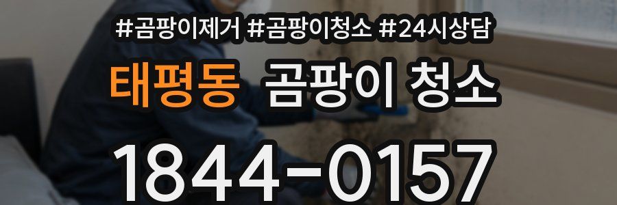 태평동 곰팡이 청소