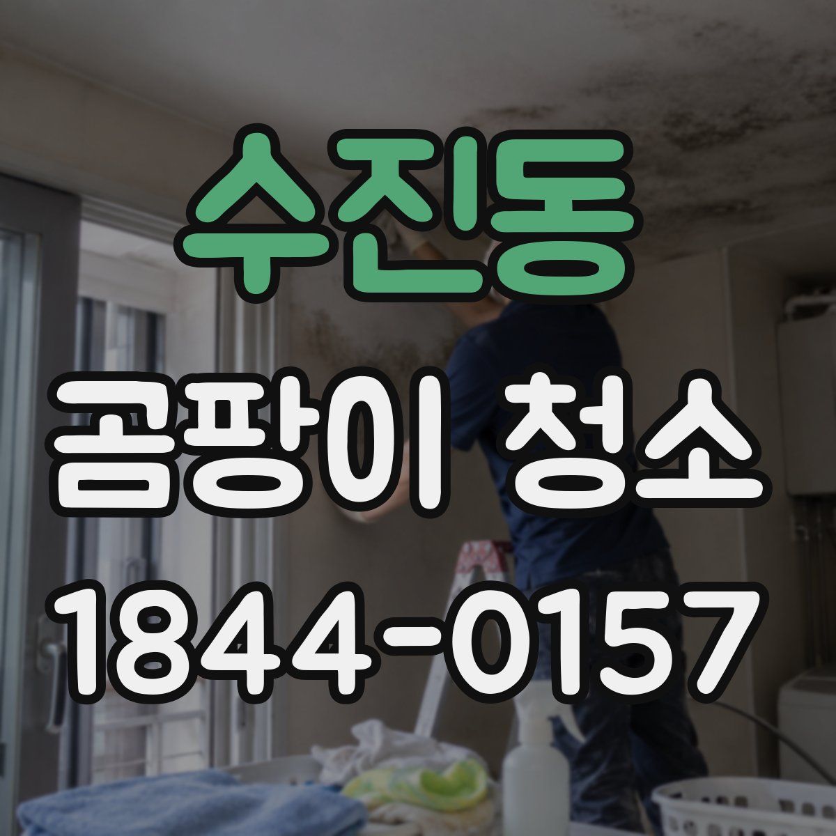수진동 곰팡이 청소