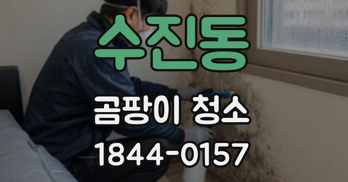 수진동 곰팡이 청소