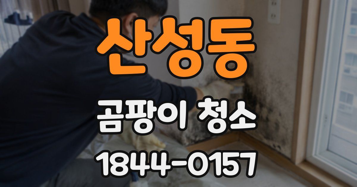 산성동 곰팡이 청소