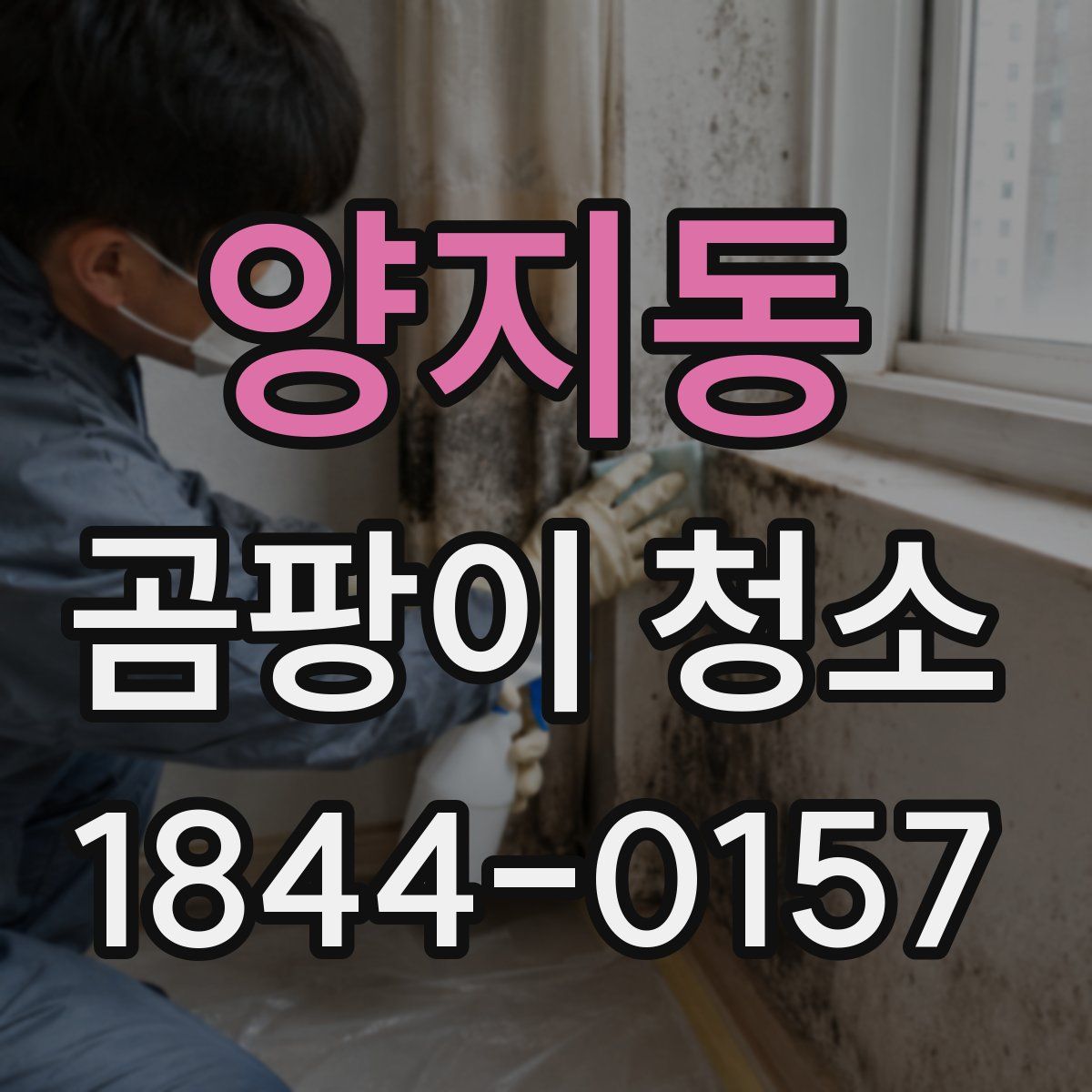 양지동 곰팡이 청소