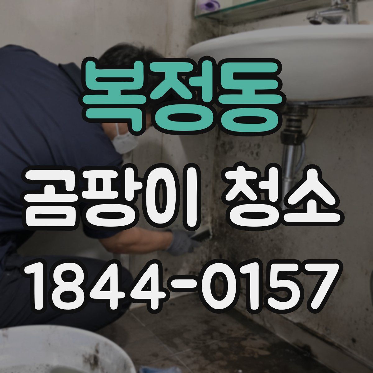 복정동 곰팡이 청소