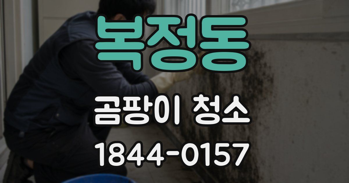 복정동 곰팡이 청소