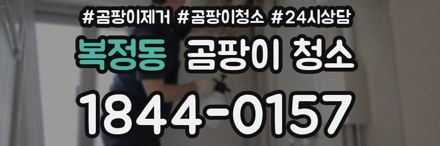 복정동 곰팡이 청소