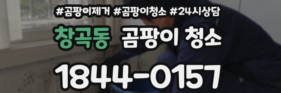 창곡동 곰팡이 청소