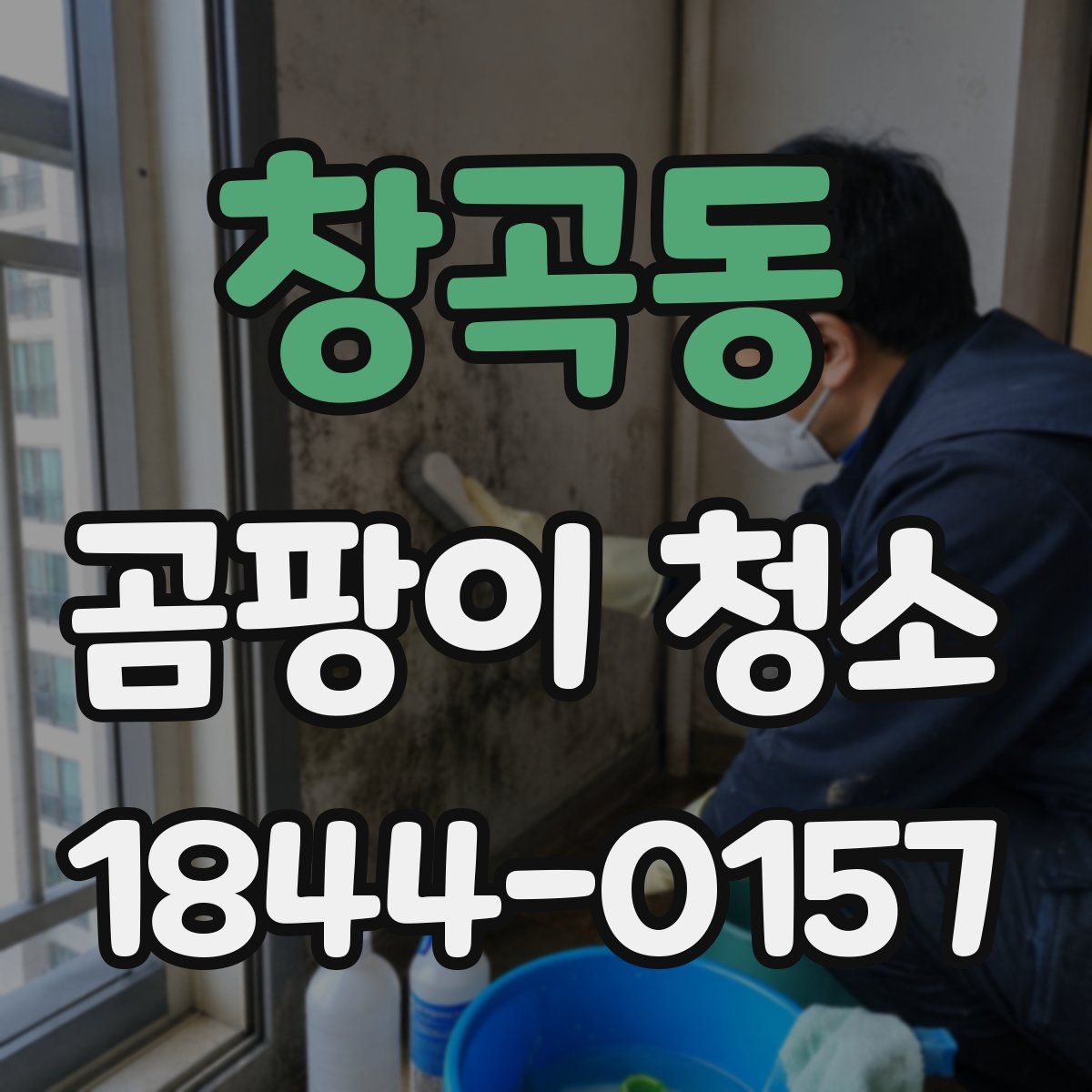 창곡동 곰팡이 청소
