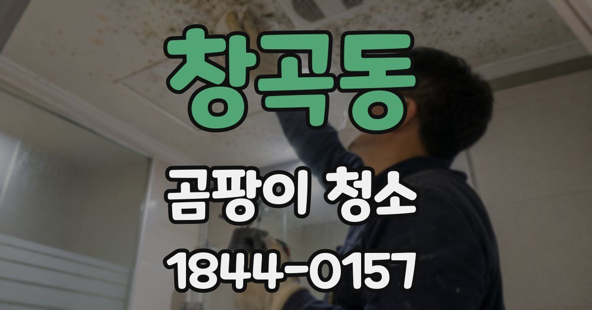 창곡동 곰팡이 청소