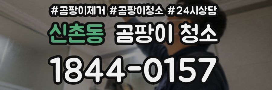 신촌동 곰팡이 청소