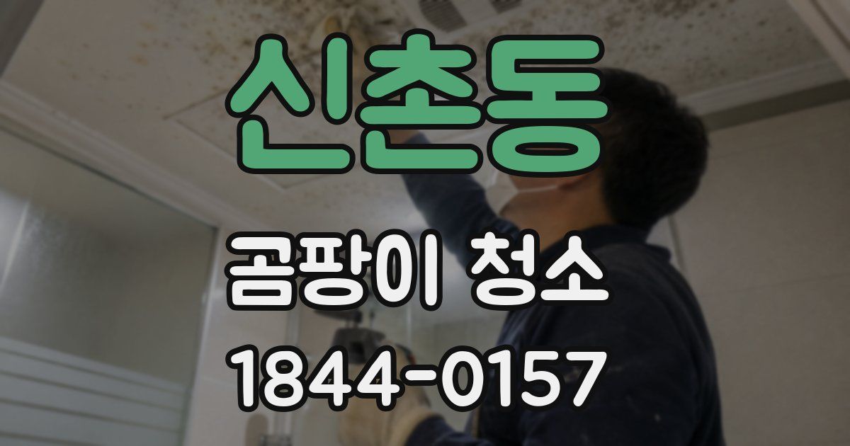 신촌동 곰팡이 청소