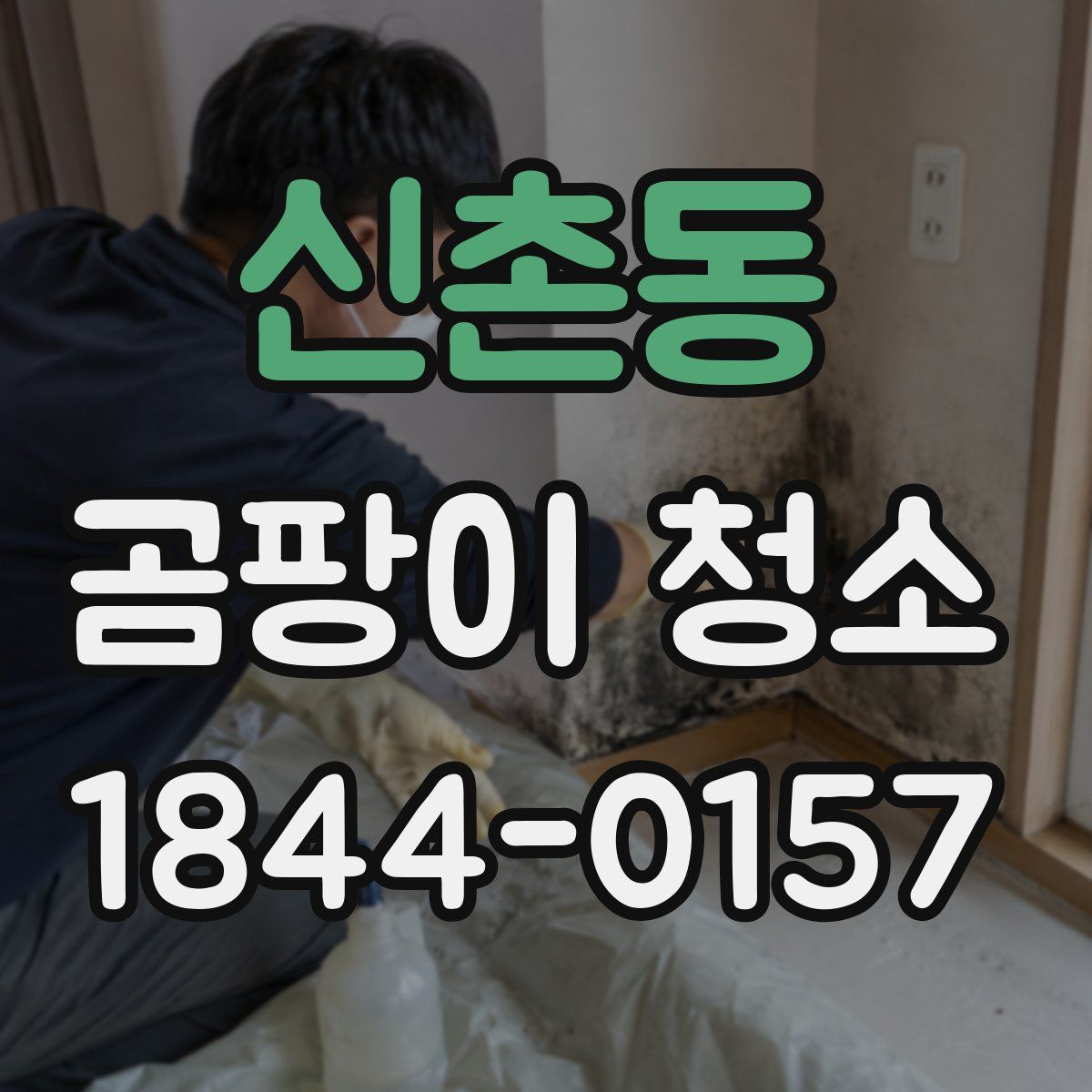 신촌동 곰팡이 청소