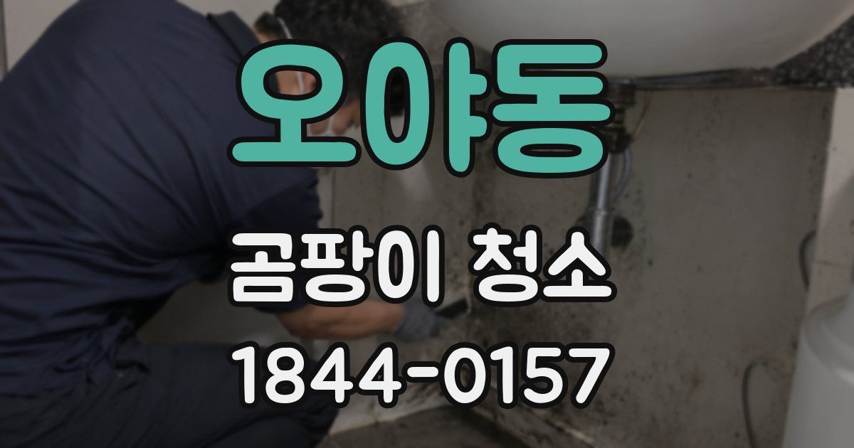 오야동 곰팡이 청소