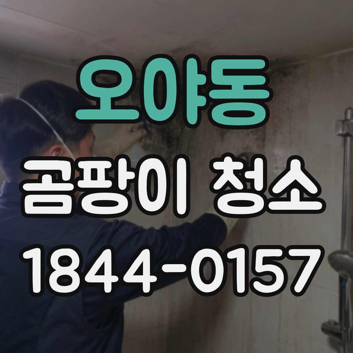 오야동 곰팡이 청소