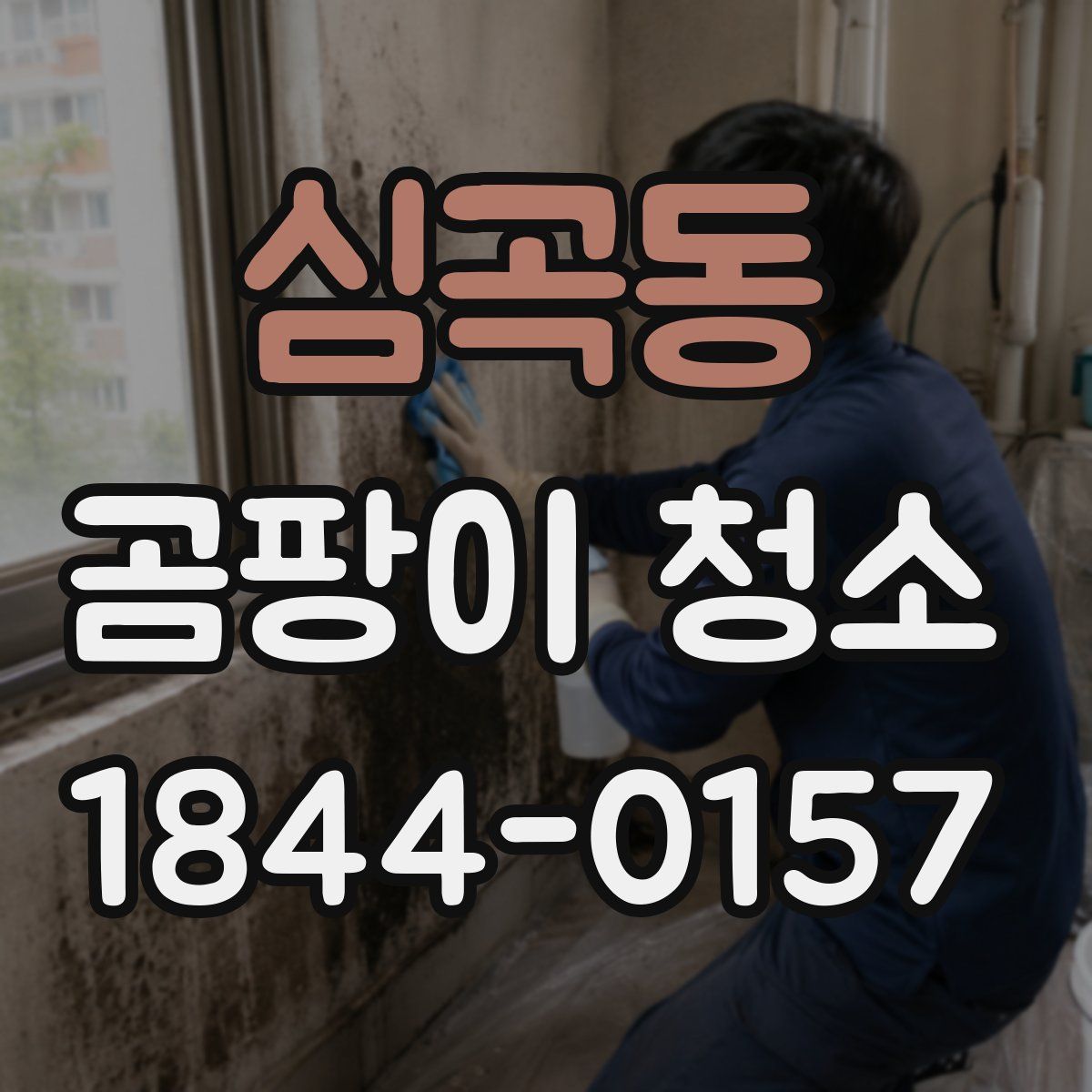 심곡동 곰팡이 청소