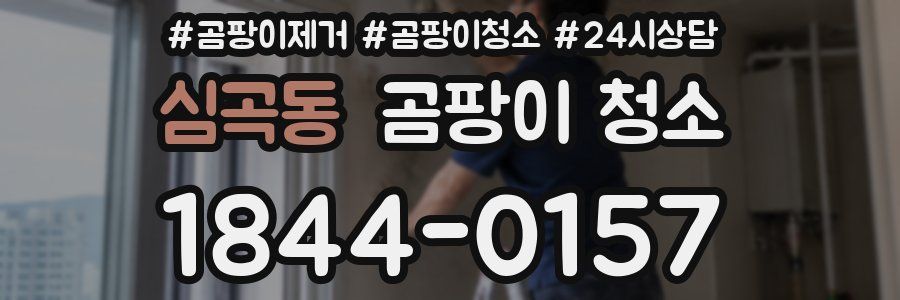 심곡동 곰팡이 청소