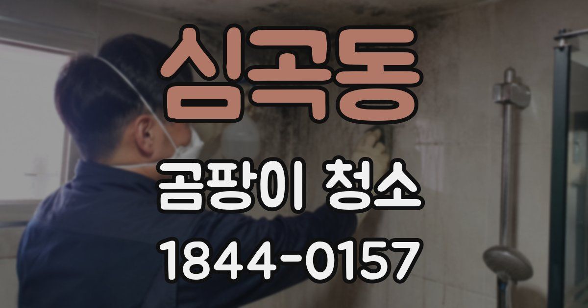 심곡동 곰팡이 청소