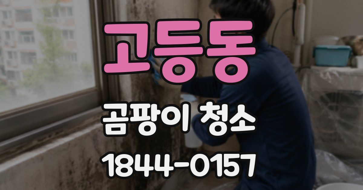고등동 곰팡이 청소