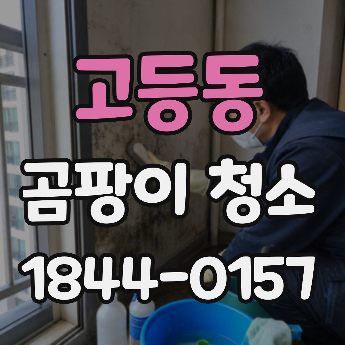고등동 곰팡이 청소