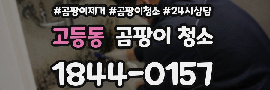 고등동 곰팡이 청소