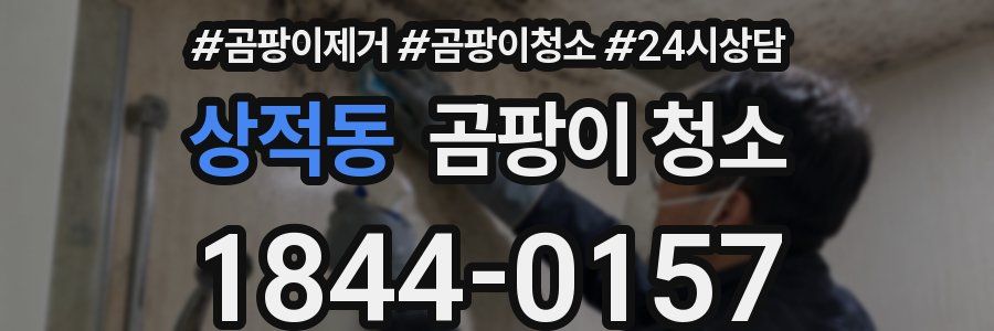 상적동 곰팡이 청소