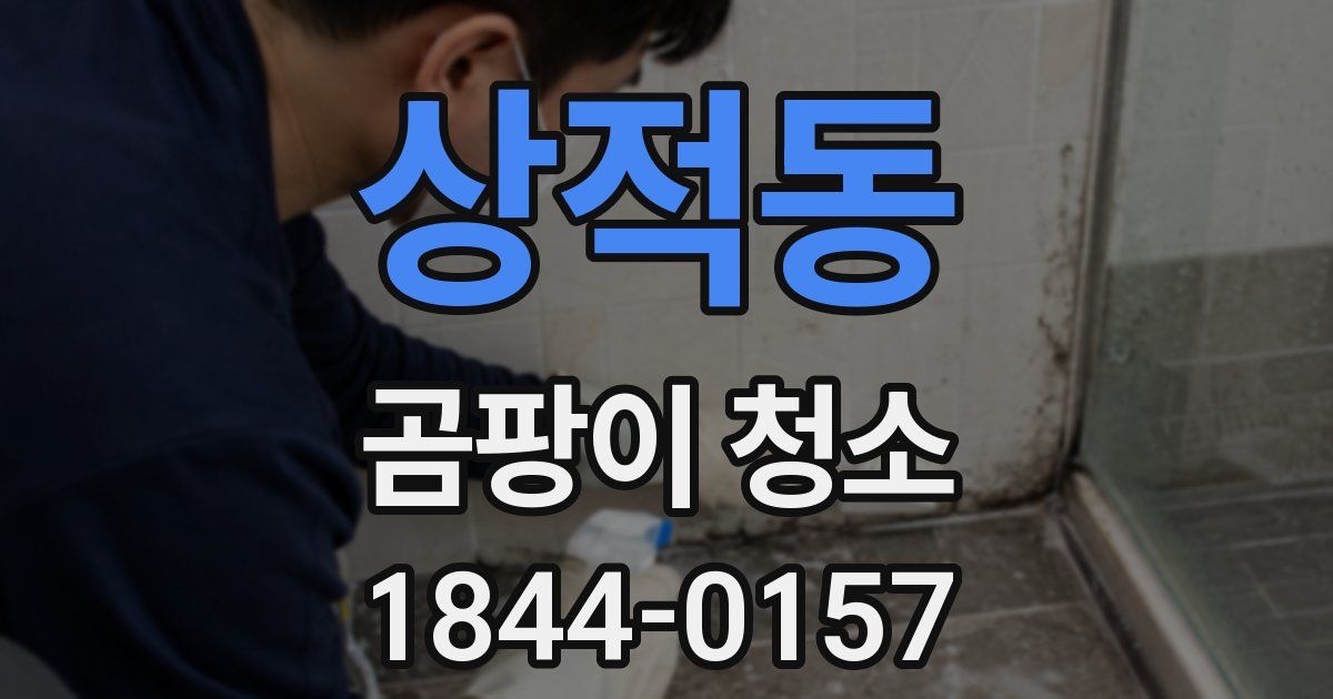 상적동 곰팡이 청소