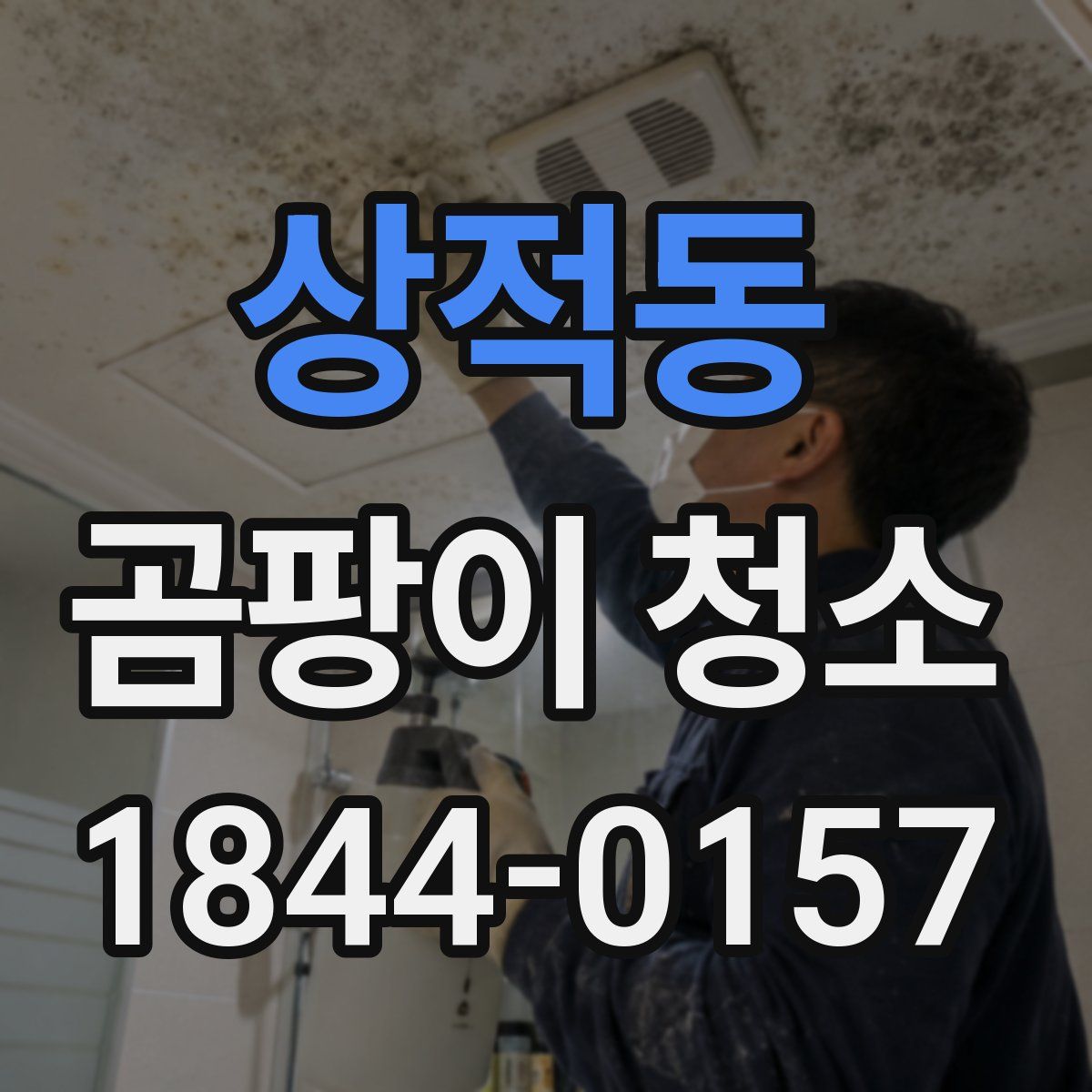 상적동 곰팡이 청소