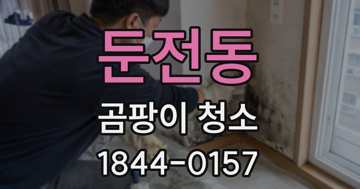 둔전동 곰팡이 청소