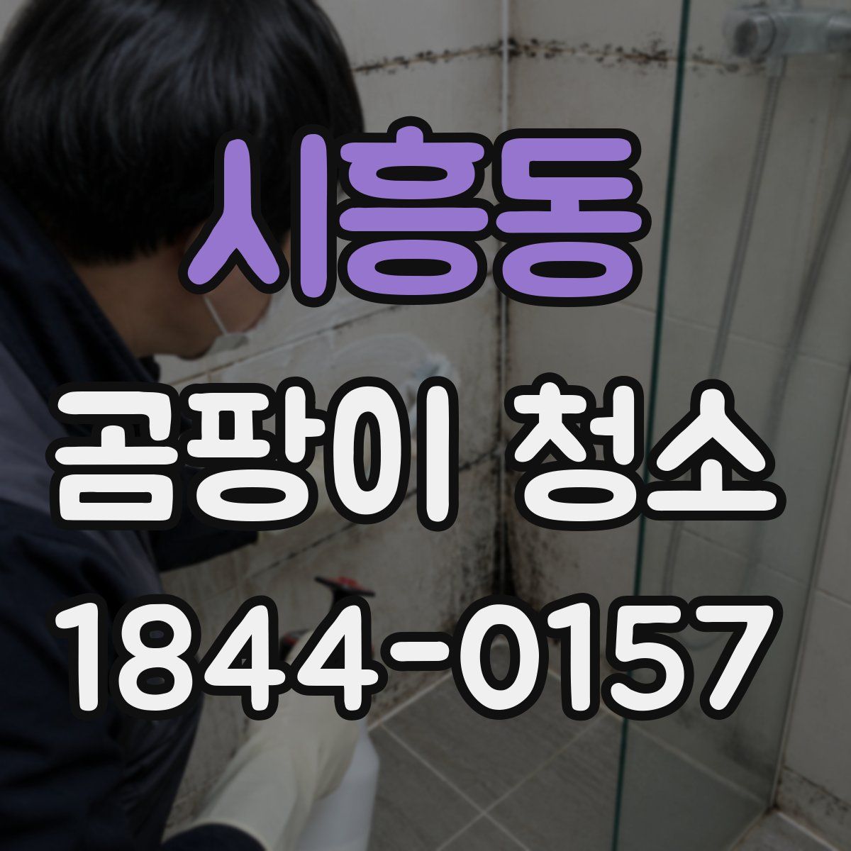 시흥동 곰팡이 청소