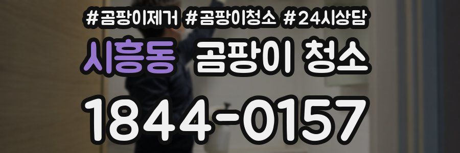 시흥동 곰팡이 청소