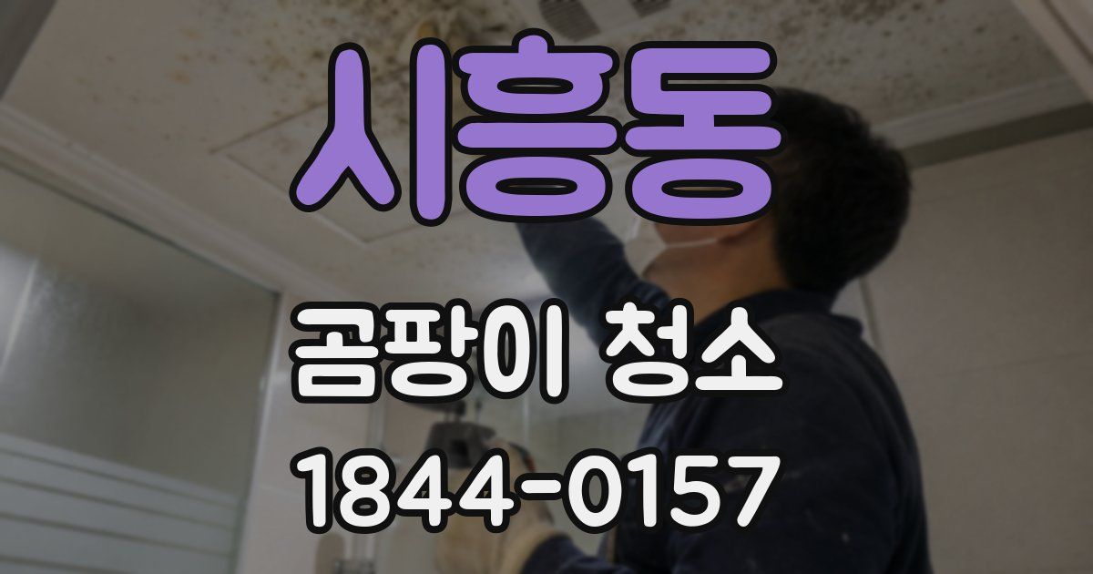 시흥동 곰팡이 청소