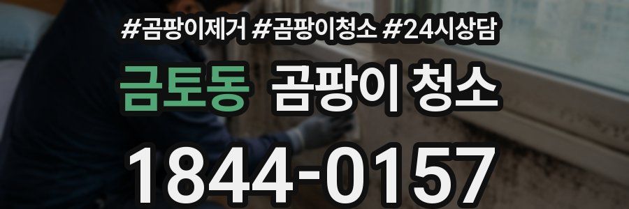금토동 곰팡이 청소