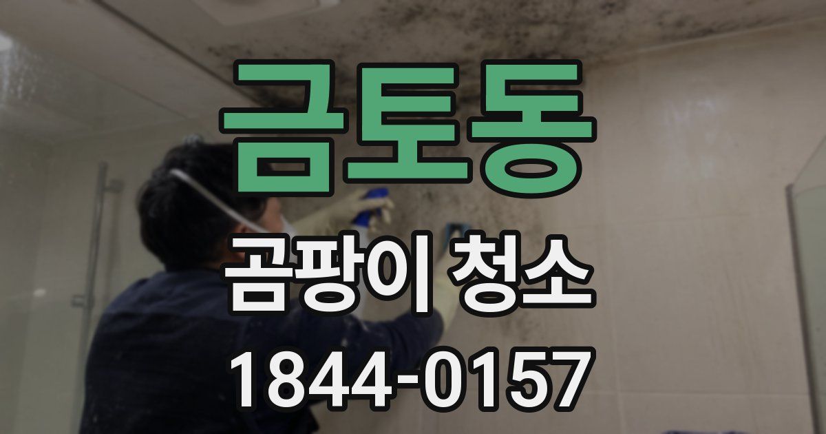 금토동 곰팡이 청소