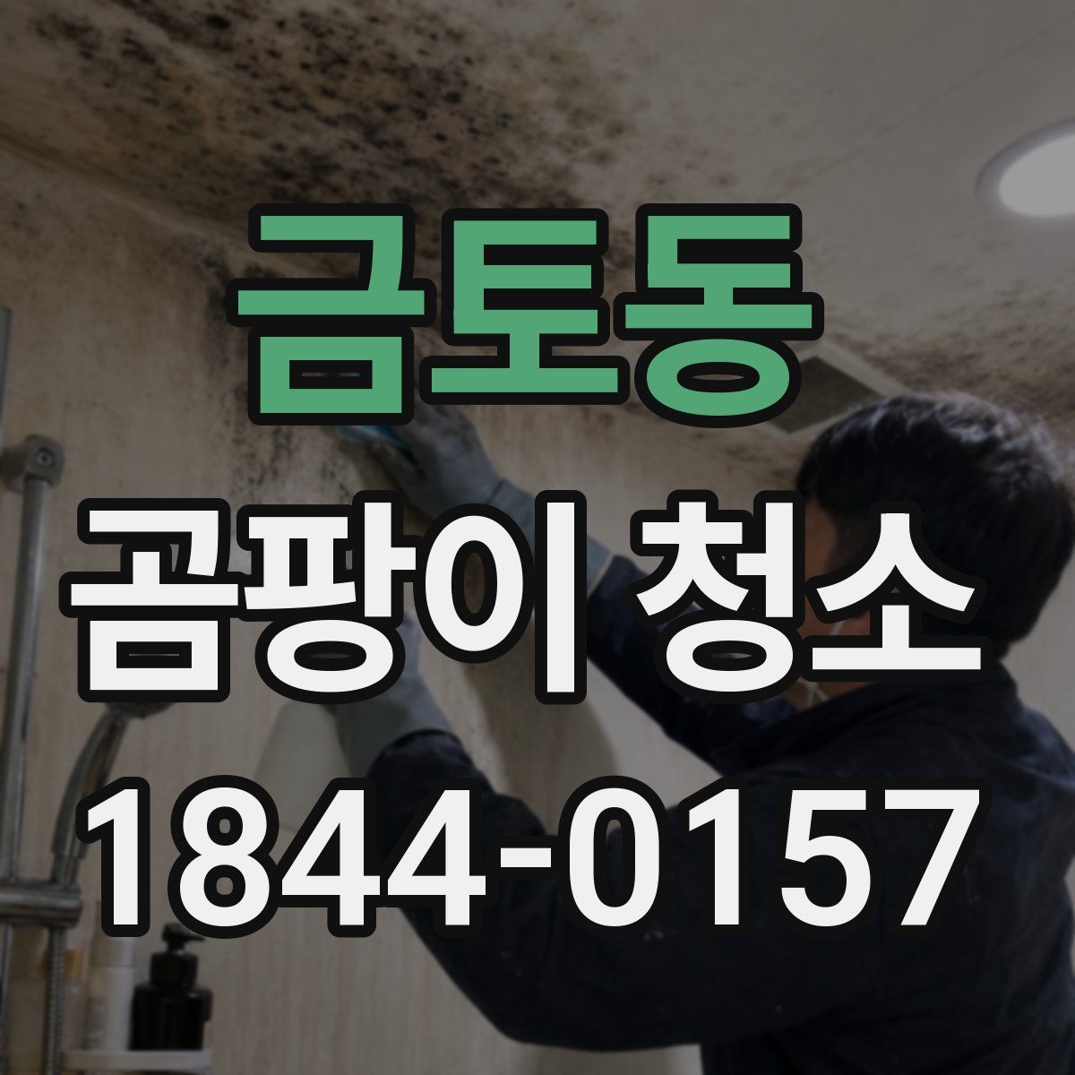 금토동 곰팡이 청소