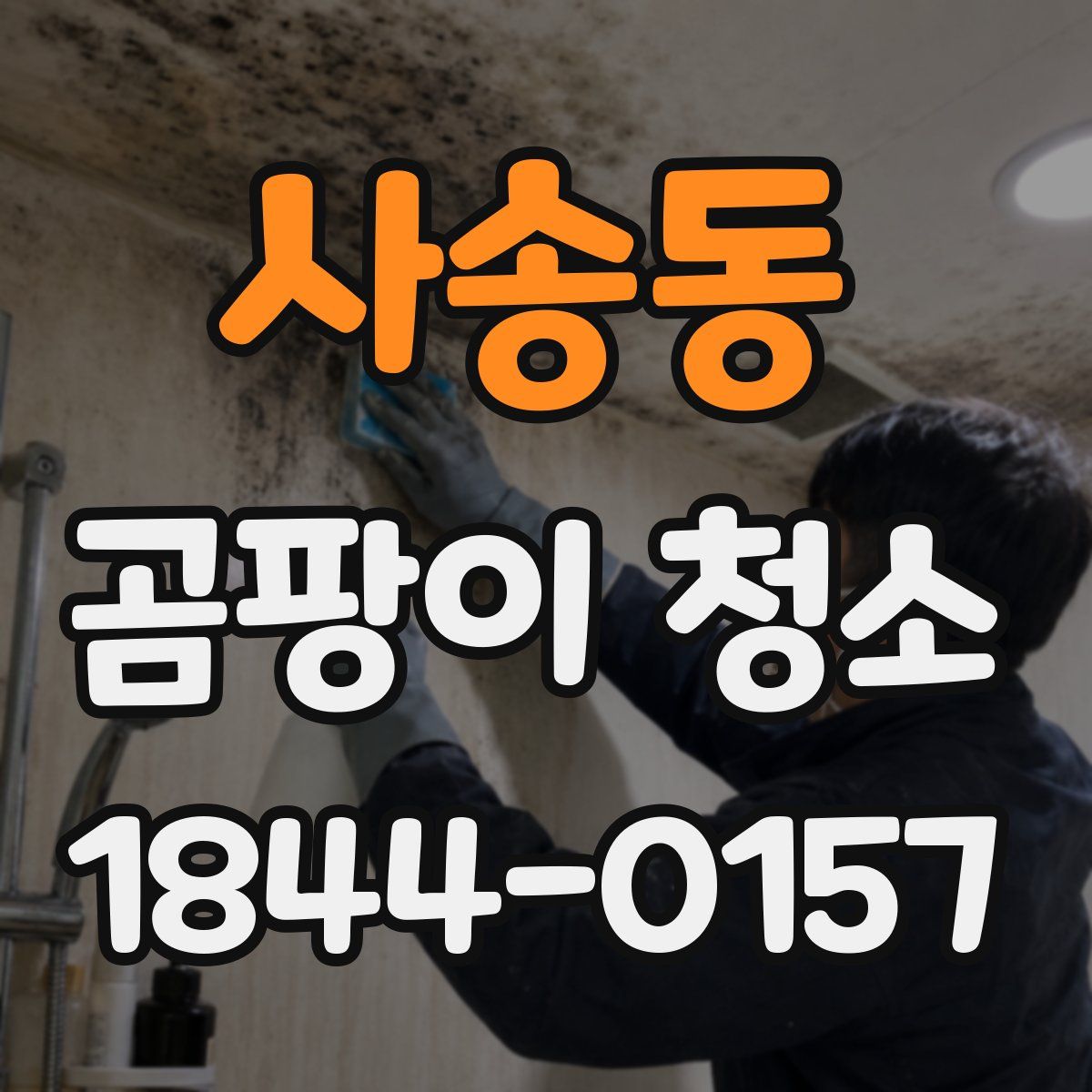 사송동 곰팡이 청소