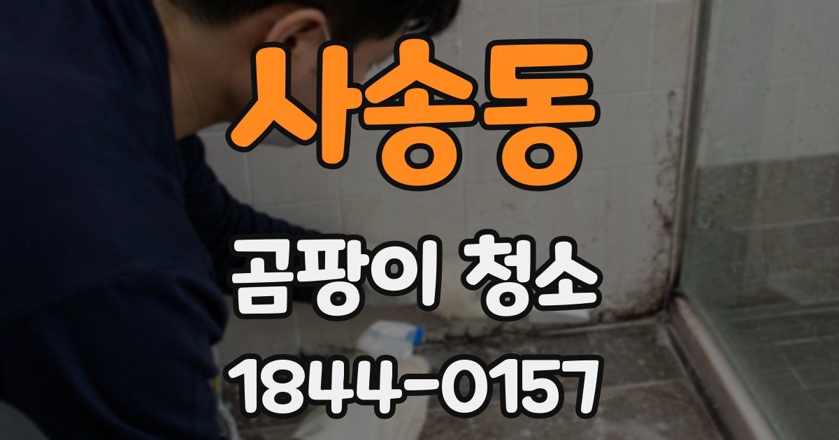 사송동 곰팡이 청소