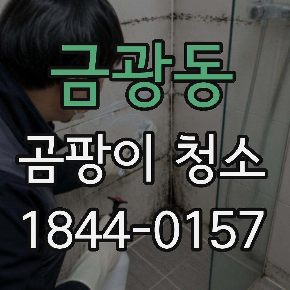 금광동 곰팡이 청소