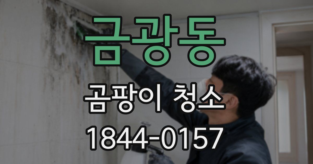 금광동 곰팡이 청소