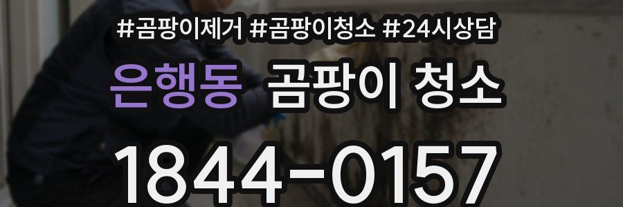 은행동 곰팡이 청소