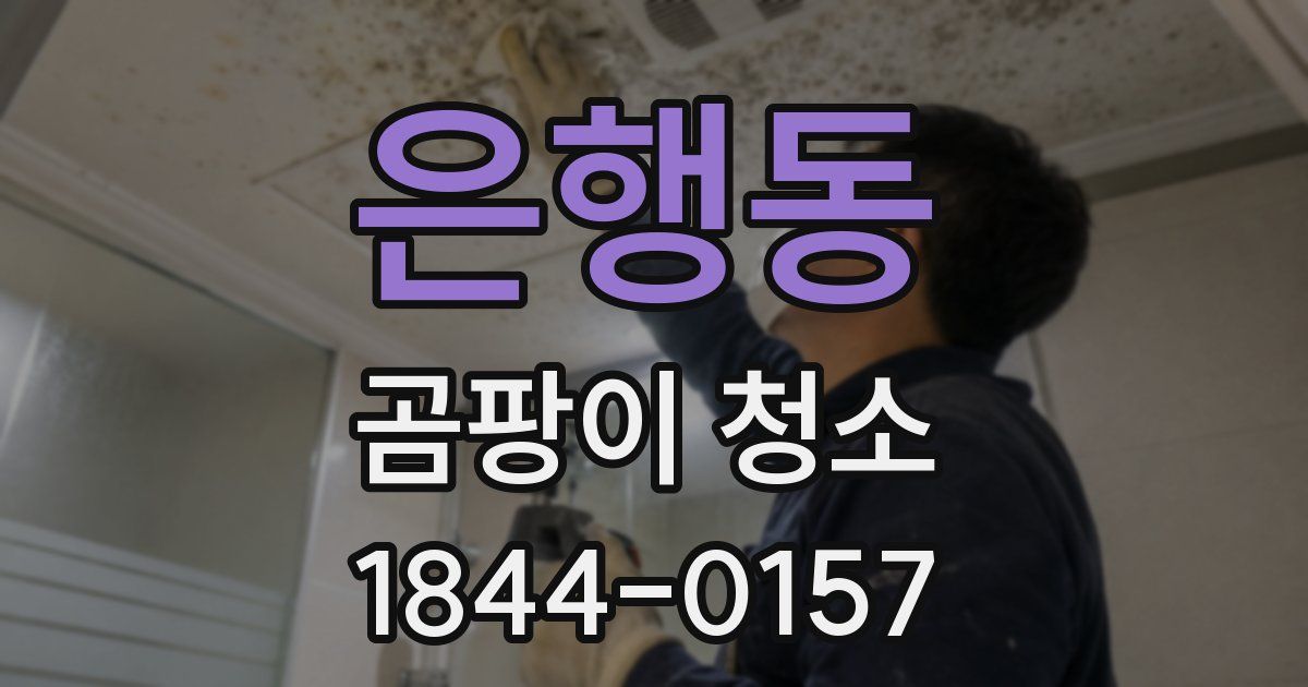 은행동 곰팡이 청소